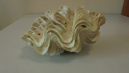 Przemyty na granicy Przemyty na granicy