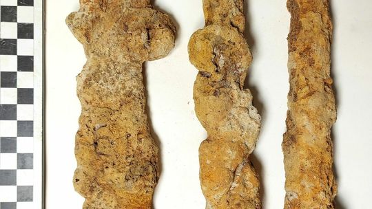 Znaleziska w Lasach Państwowych