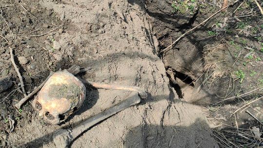 Ludzkie kości na cmentarzu