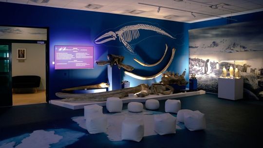 Muzeum Badań Polarnych w Puławach