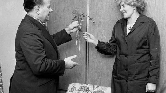 Jak obchodzono Dzień Kobiet w PRL