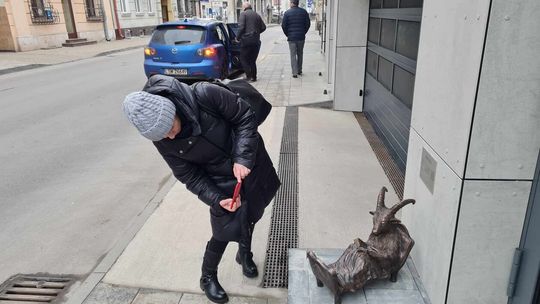 Koziołek Maciej na Staszica