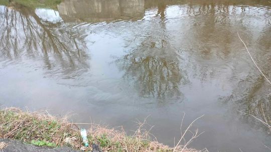 Dziwna plama na Bystrzycy Dziwna plama na Bystrzycy