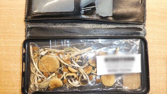 Ciekawostki z granicy. To próbowano przemycić w lutym 2024 Ciekawostki z granicy. To próbowano przemycić w lutym 2024