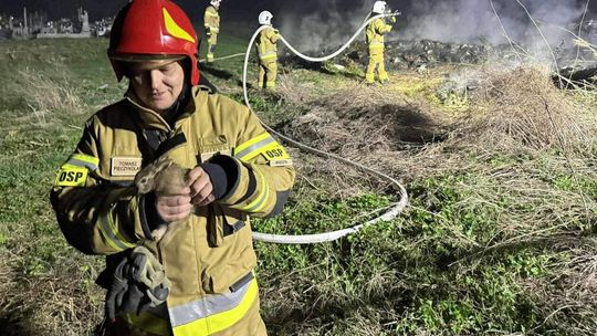 Pożar śmieci i uratowany zając