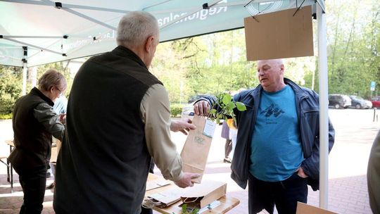 Akcja #sadziMY- posadź drzewo z leśnikami