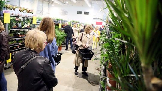 Festiwal roślin Festiwal roślin