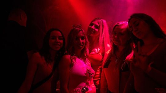 Galeria klubu Piękna Pszczoła