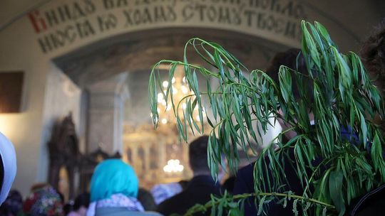 Niedziela palmowa w Cerkiew Prawosławna pw. Przemienienia Pańskiego