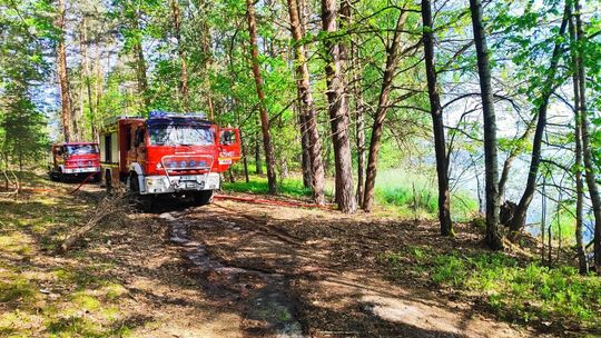 Pożar lasu