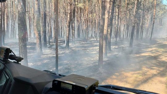 Pożar lasu w Wiskach. Gmina Tuczna Pożar lasu w Wiskach. Gmina Tuczna