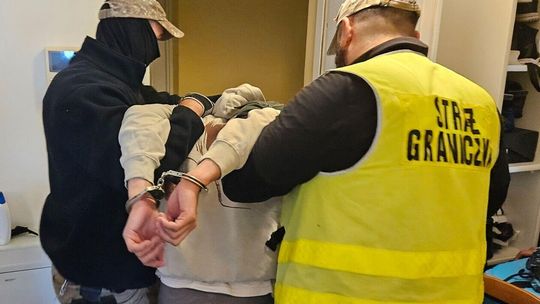 Gruzini zatrzymani za organizację przemytu migrantów