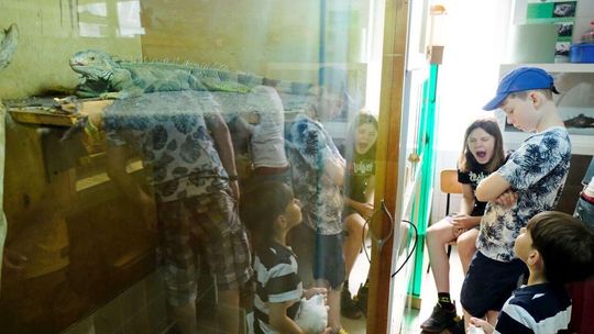 Gady rządzą: dzień otwarty w schronisku dla bezdomnych zwierząt