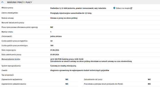 DIAGNOSTA SAMOCHODOWY