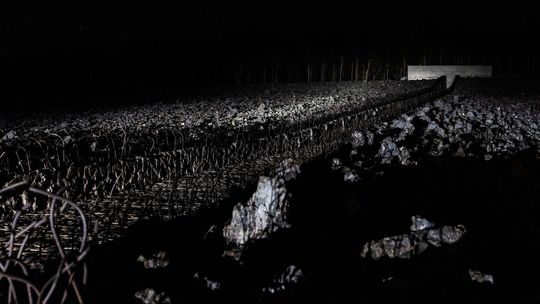 20 lat istnienia Muzeum i Miejsca Pamięci w Bełżcu