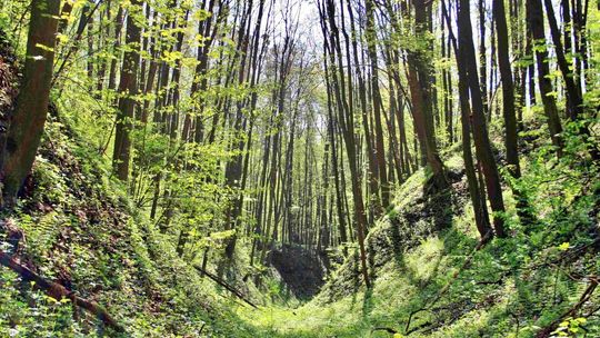 Rowerowy Kraśnik Rowerowy Kraśnik