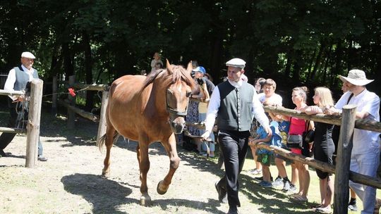 Jarmark Koński w Muzeum Wsi Lubelskiej 