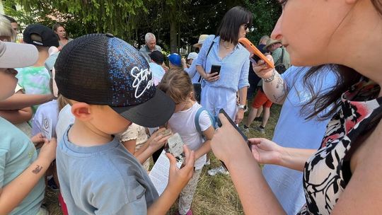 Miodobranie w miejskiej pasiece - Zamość 2024