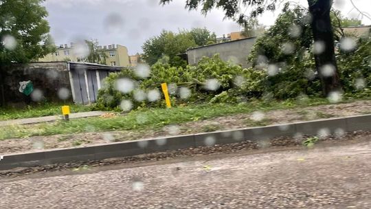 Poburzowy krajobraz w regionie