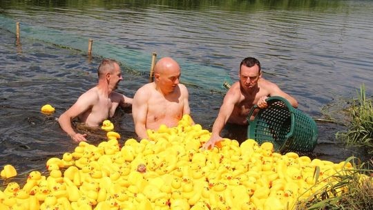 Rotariański wyścig kaczek w Białej Podlaskiej 