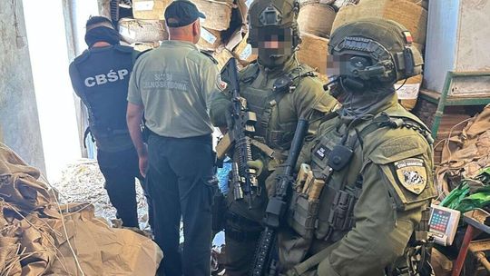 Nielegalna krajalnia tytoniu 