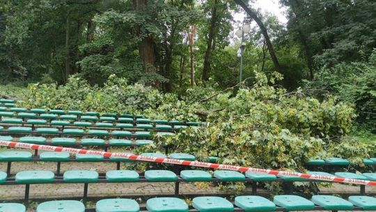 Konar drzewa spadł na nastolatki w Ogrodzie Saskim 
