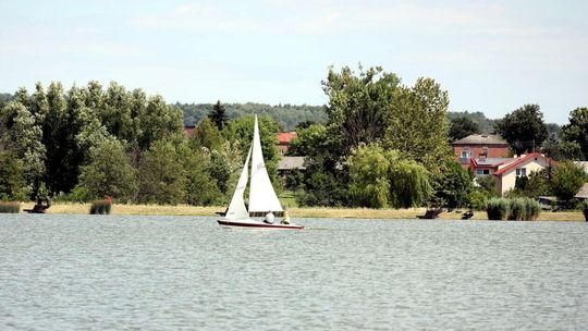 Regaty żeglarskie w Kraśniku