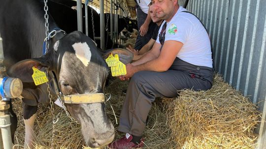 Wystawa Zwierząt Hodowlanych, Maszyn i Urządzeń Rolniczych w Sitnie