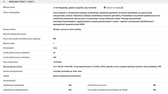 GÓRNIK DO PRACY POD ZIEMIĄ