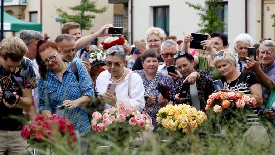 Święto Róż w Końskowoli 2024 Święto Róż w Końskowoli 2024