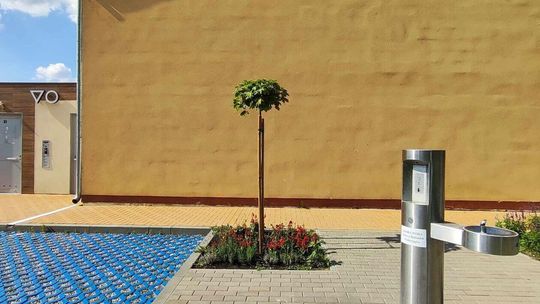 Zmiany przy Małpim Gaju w Białej Podlaskiej Zmiany przy Małpim Gaju w Białej Podlaskiej