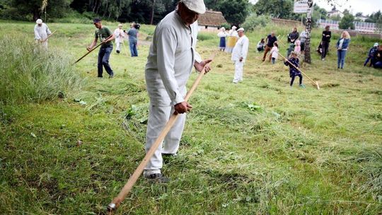 Muzeum Wsi Lubelskiej