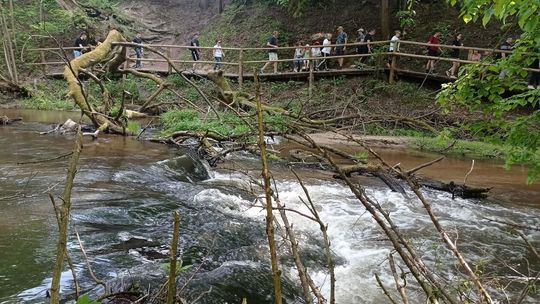 Centralny Szlak Rowerowy Roztocza