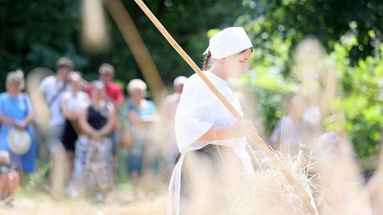 Żniwowanie w lubelskim skansenie
