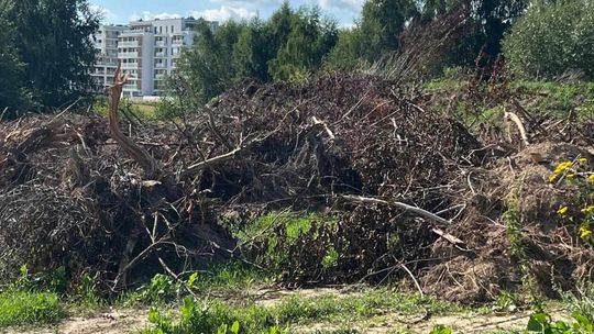 Prace w okolicy ulicy Gęsiej