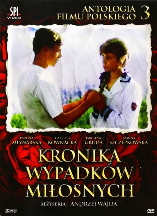 Kronika wypadków miłosnych