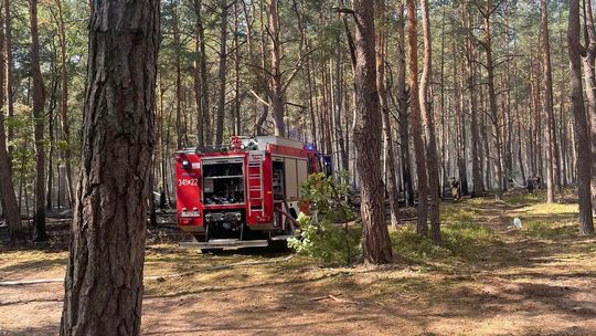 Pożar lasu w Curynie