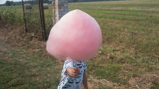 60- lecie OSP w Ferdynandowie