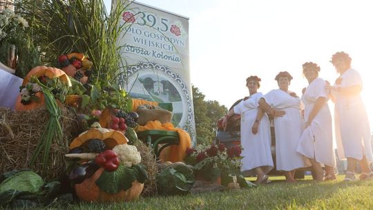 Dożynki powiatowo-gminne w Urzędowie Dożynki powiatowo-gminne w Urzędowie