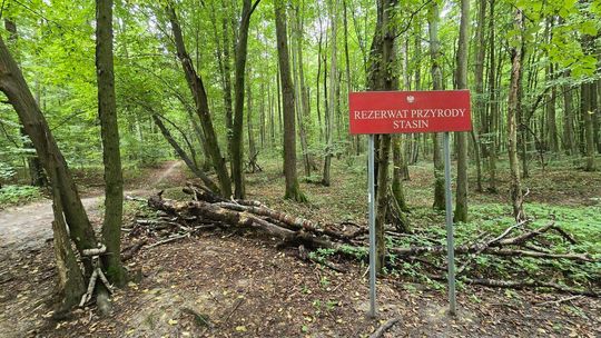 Nielegalny tor w Starym Gaju