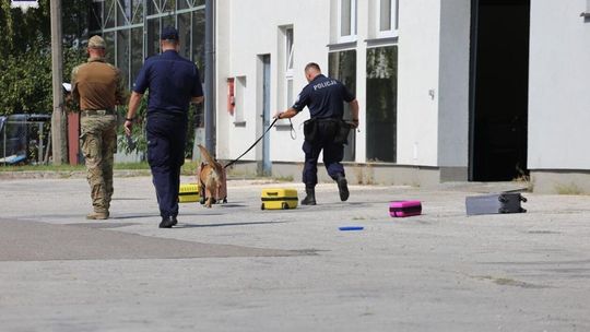 Zawody Kynologiczne Zawody Kynologiczne