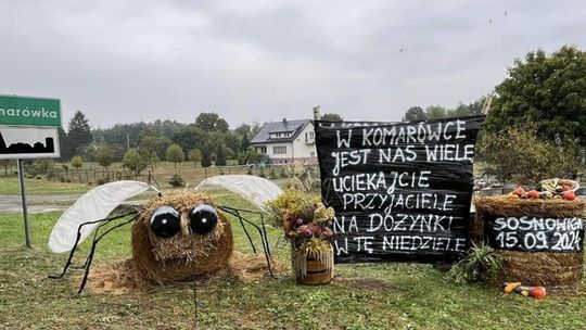 Dożynkowe witacze w gminie Sosnowica