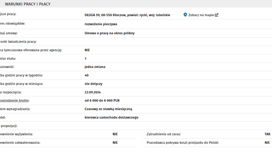 KIEROWCA SAMOCHODU DOSTAWCZEGO