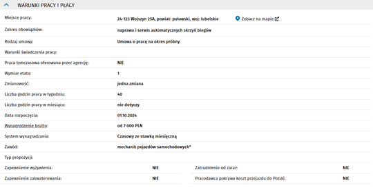 MECHANIK SAMOCHODOWY