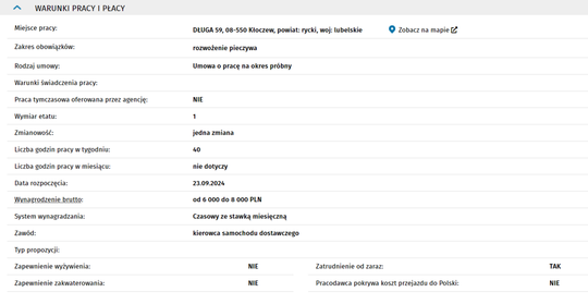 KIEROWCA SAMOCHODU DOSTAWCZEGO