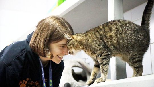 Dzień Otwarty w Schronisku dla zwierząt