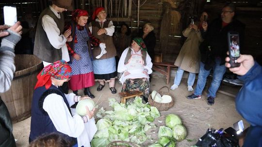 Obieraczki kapuściane w Muzeum Wsi Lubelskiej 