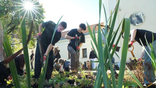 Przy Centrum Kultury powstał 6 miejski ogród deszczowy