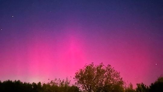 Łopiennik k. Krasnegostawu