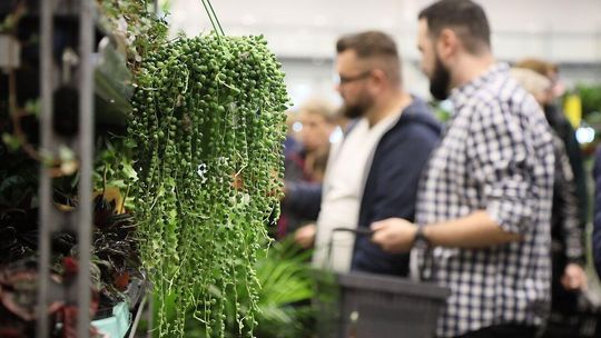Festiwal roślin w Lubline